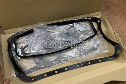 Bộ gioăng đại tu 0411106021