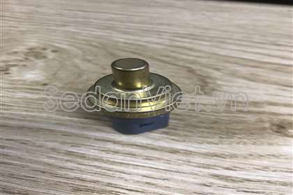 Cảm biến nhiệt độ nước 06A919501A