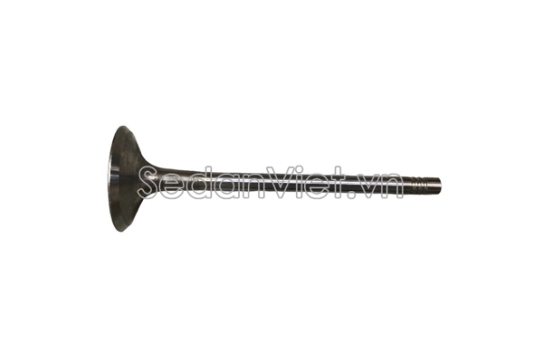 Xupap xả 06J109611E