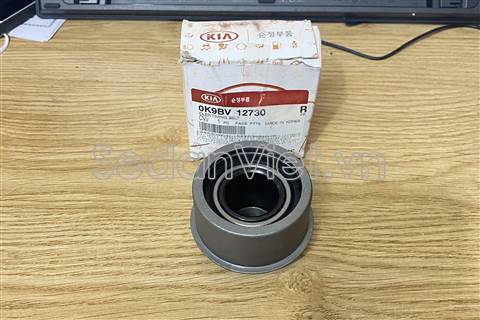 Bi tì cam Kia Carnival 2004-2007