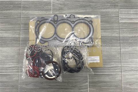 Bộ gioăng đại tu 10105AA790