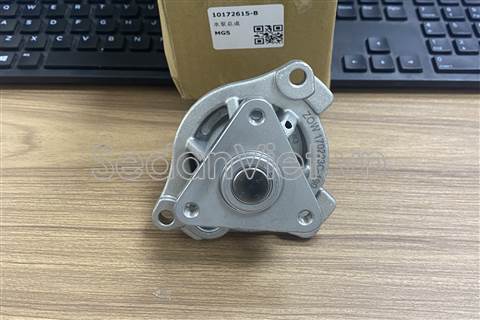 Bơm nước động cơ 10172615