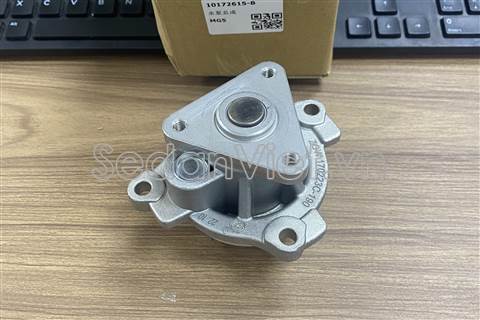 Bơm nước động cơ 10172615