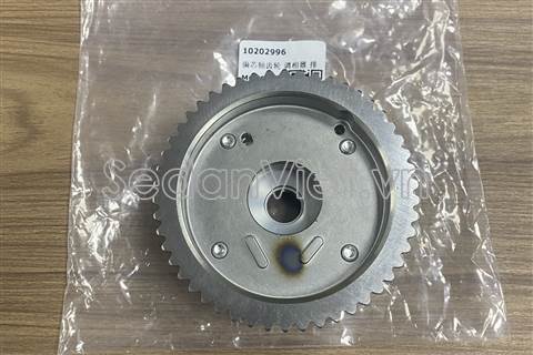 Bánh răng trục cam xả 10202996