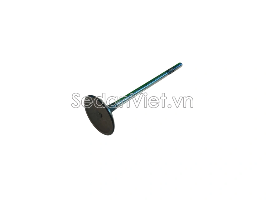 Xupap hút 10203582