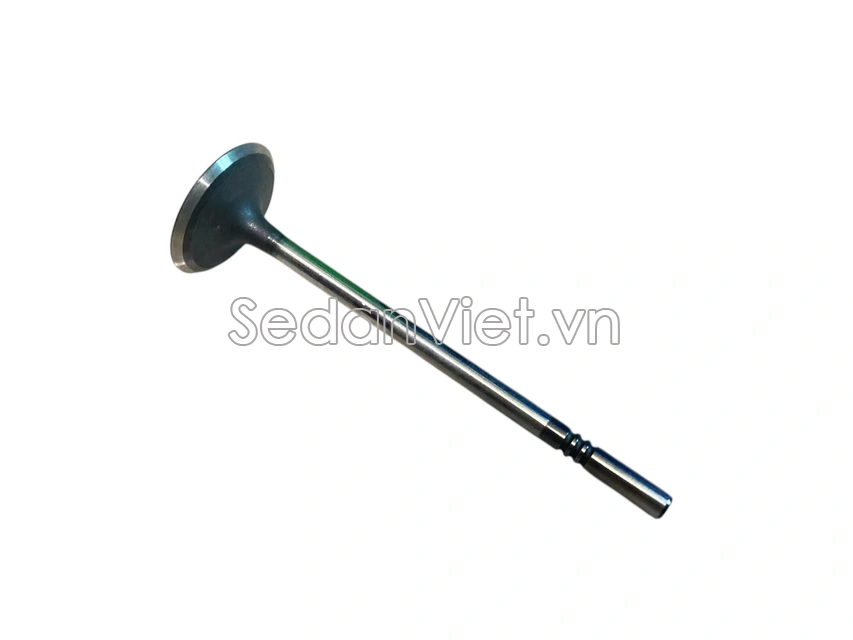 Xupap hút 10203582