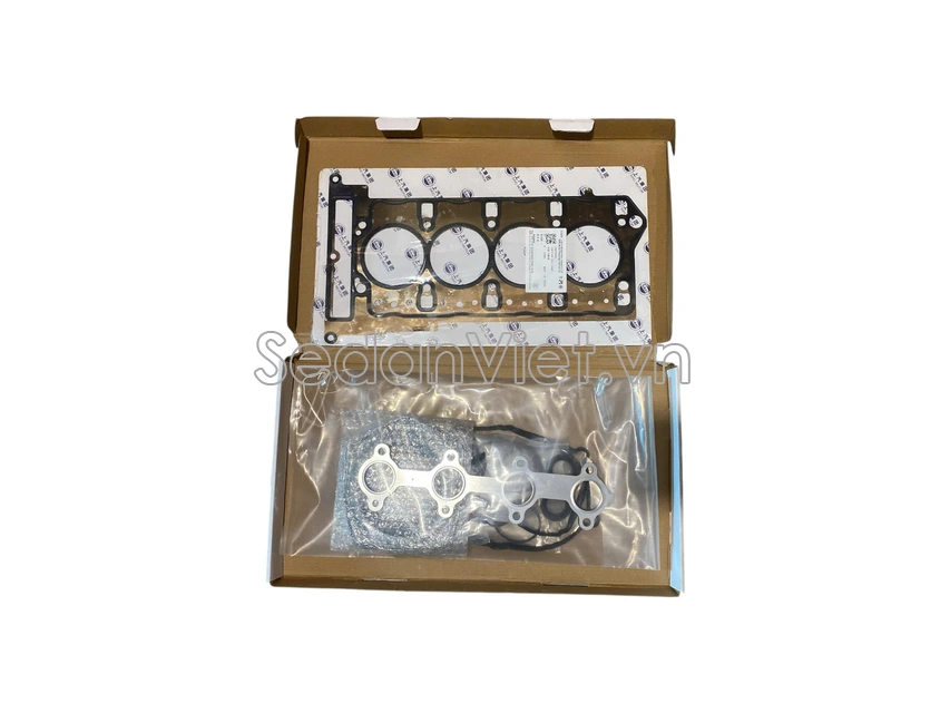 Bộ gioăng đại tu 10216245DXB-01