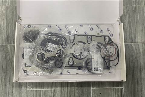 Bộ gioăng đại tu 10216245DXB