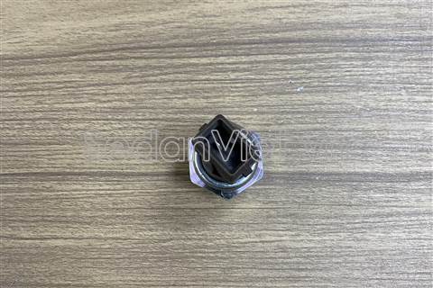 Cảm biến áp suất dầu động cơ 10234621