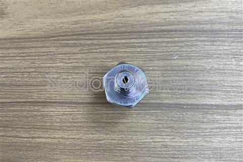 Cảm biến áp suất dầu động cơ 10234621