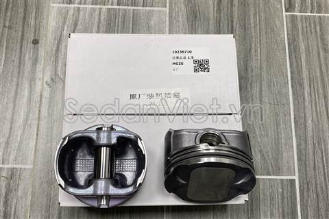Piston STD 10236710