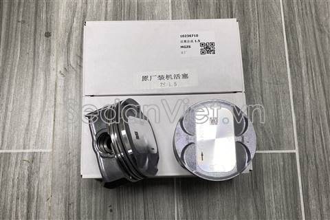 Piston STD 10236710