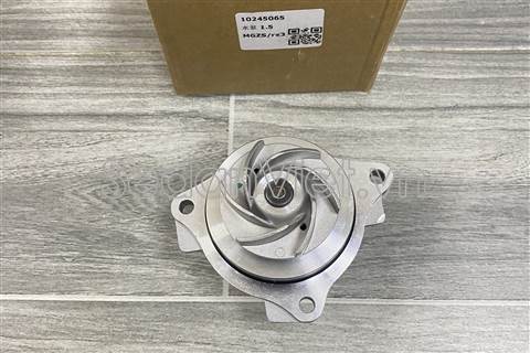 Bơm nước động cơ 10245065