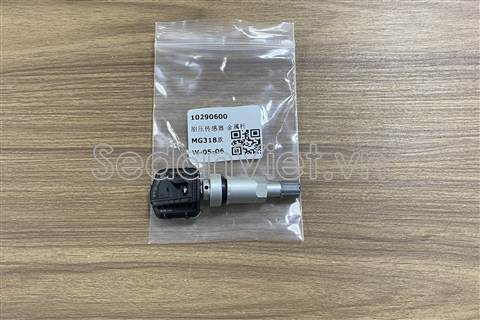 Cảm biến áp suất lốp 10290600