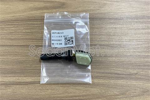Cảm biến áp suất lốp MG7 2023-2024