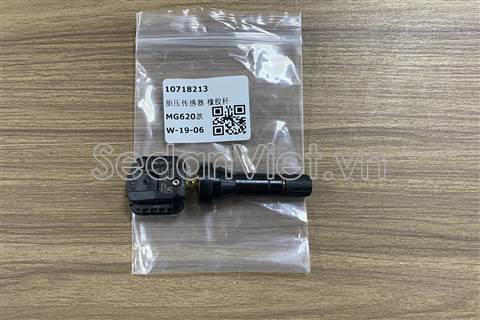 Cảm biến áp suất lốp 10718213