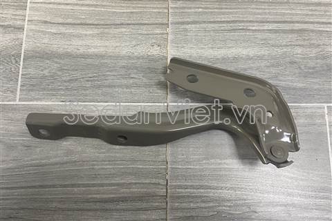 Bản lề capo phải 10766113