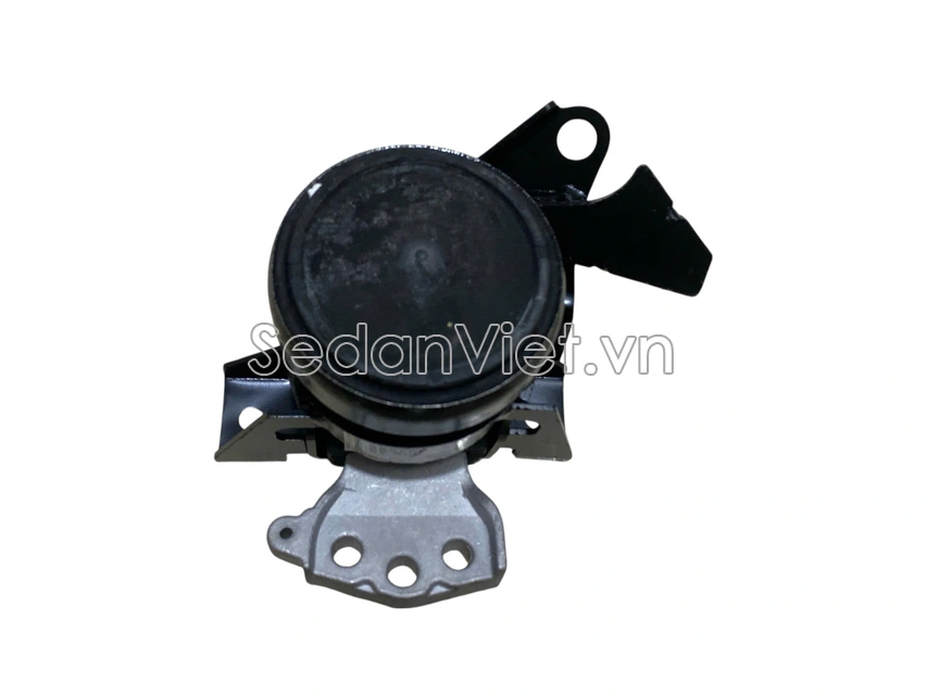 Chân máy thủy lực 1161066M00000-01