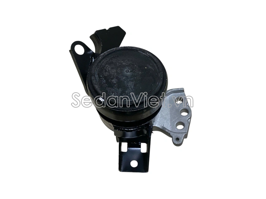 Chân máy thủy lực 1161066M00000-01