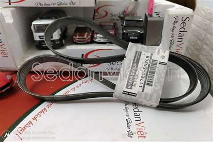 Dây curoa tổng Nissan Bluebird 2005-2011