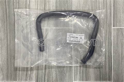 Ống hơi van chân không 11815AC390