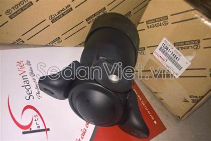 Chân máy trước 1236174241