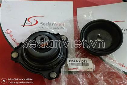 Chân máy sau 1237131082