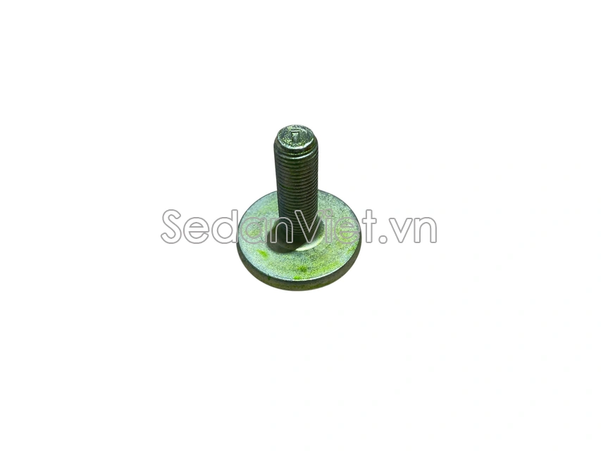 Ốc đầu trục cơ 1261969G10