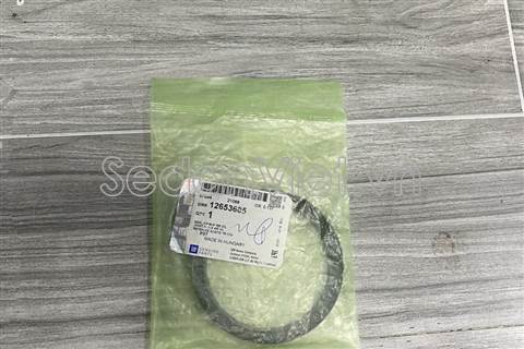 Phớt đuôi trục cơ Mg HS 2023-2024