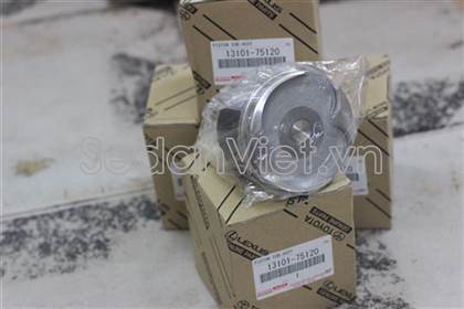 Piston cos 0 131010C010
