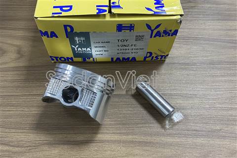 Piston 1310121030-01