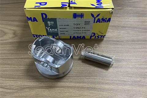 Piston 1310121030-01