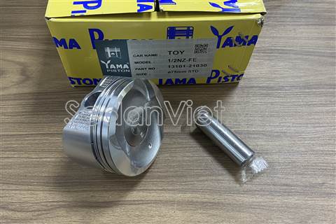 Piston 1310121030-01