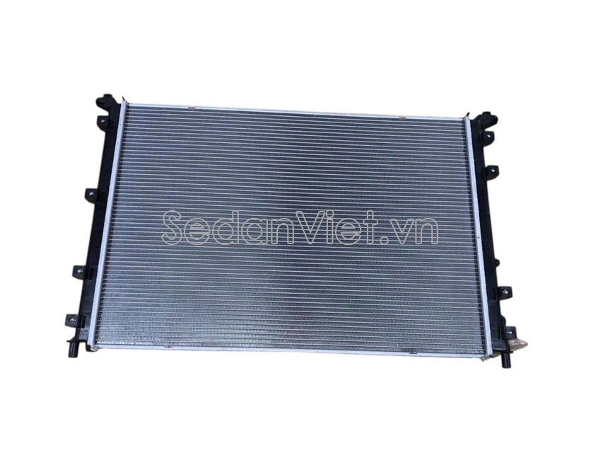 Két nước dùng cho xe BYD Dolphin 2024-2025