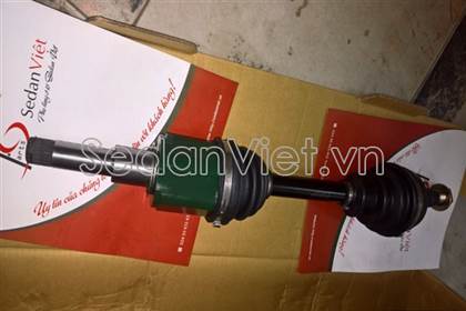 Cây láp trái 13271512