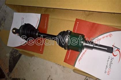 Cây láp trái 13271512