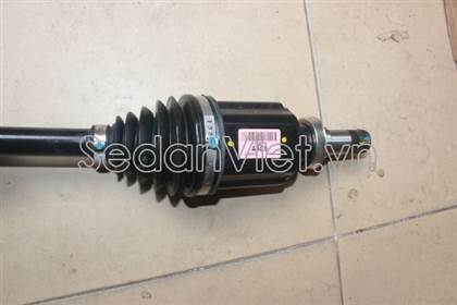 Cây láp phải 13334702