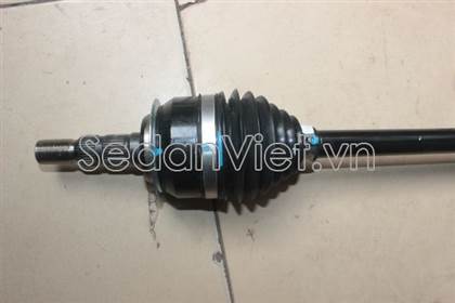 Cây láp phải 13334702