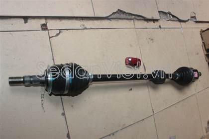Cây láp phải 13334702