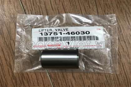 Con đội thủy lực 1375146030