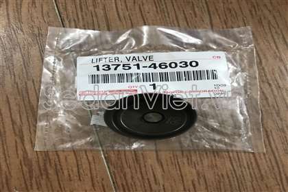 Con đội thủy lực 1375146030