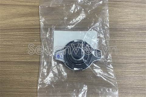Nắp két nước 164010C030