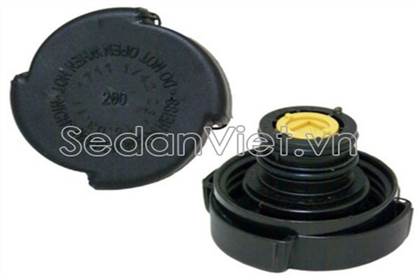 Nắp bình nước phụ Bmw 320i 2003