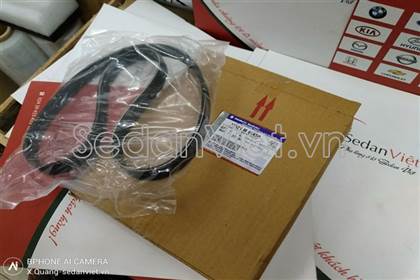 Dây curoa tổng 5PK895 17521M68K00