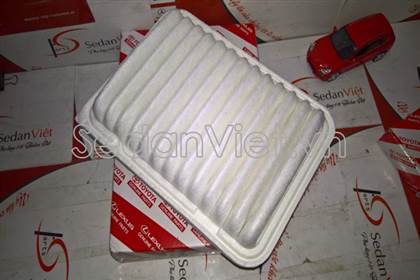 Lọc gió động cơ 178010D090