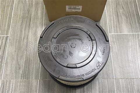 Lọc gió động cơ 17801YZZA1