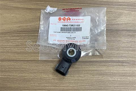 Cảm biến tiếng gõ động cơ