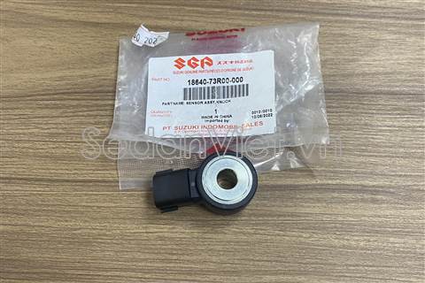 Cảm biến tiếng gõ động cơ 1864073R00000