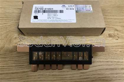 Cầu chì 1879001031