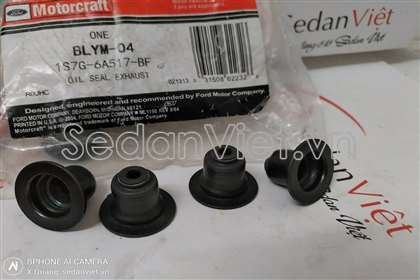Phớt ghít Ford Ecosport 2013-2016